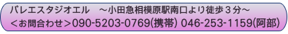 相模原でバレエといえばバレエスタジオエルです。